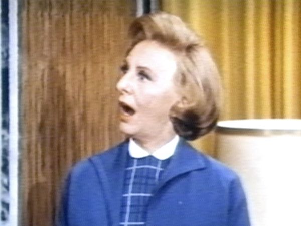The Lucy Show - The Lucy Show Series