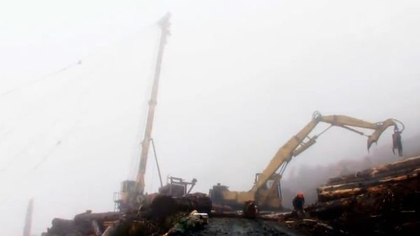 Ax Men - Old Log New Tricks
