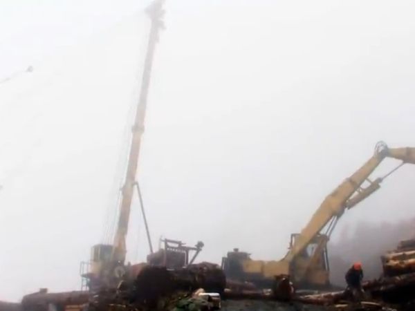 Ax Men - Old Log New Tricks