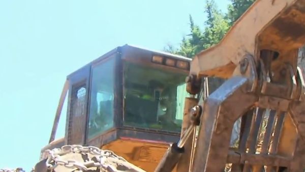 Ax Men - Davi and Goliath