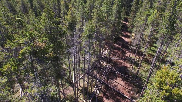 Ax Men - Reunited and It Feels Like Wood