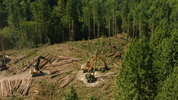 Ax Men - Take This Log and Shove It