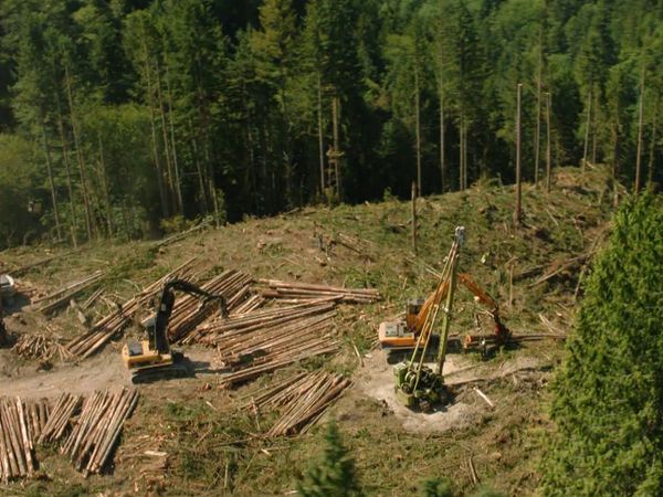 Ax Men - Take This Log and Shove It