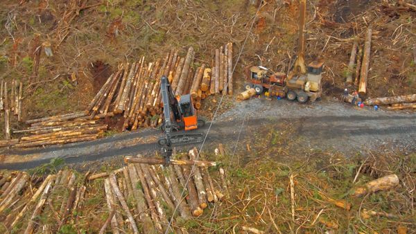 Ax Men - Family Tree