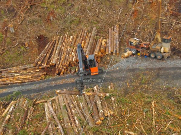 Ax Men - Family Tree