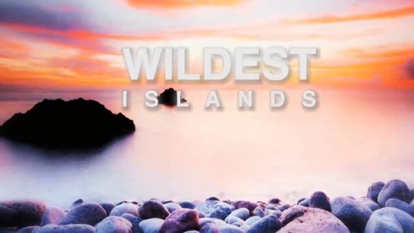 Wildest Islands - Zanzibar: Land of Giants