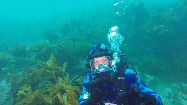 Shark Man with Riley Elliott - Stingray