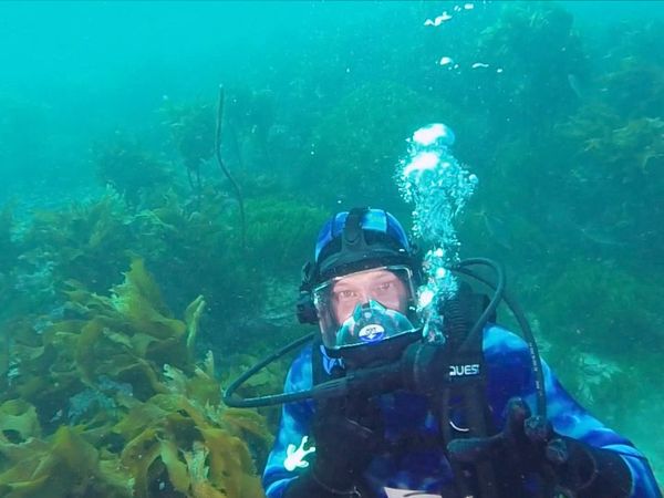 Shark Man with Riley Elliott - Stingray