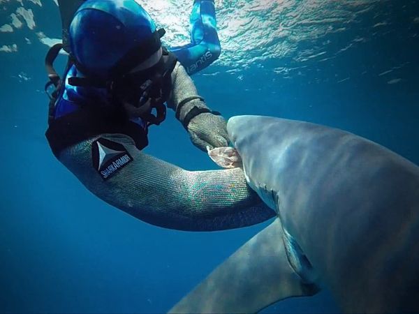 Shark Man with Riley Elliott - Shark Attack
