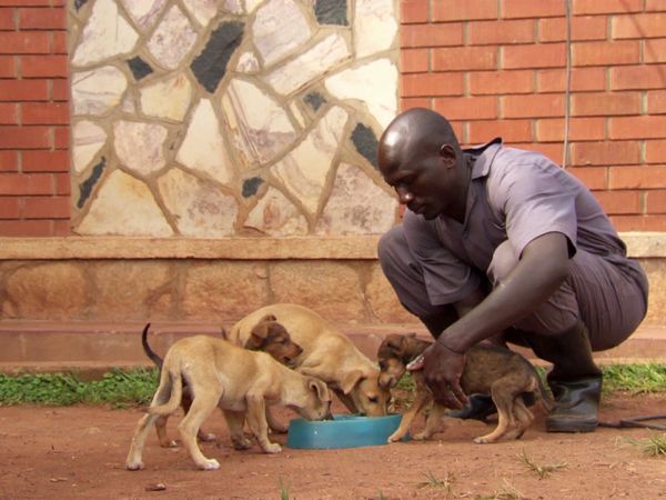 Luke Gamble's Vet Adventures - Uganda