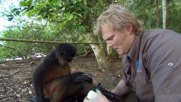 Luke Gamble's Vet Adventures - Costa Rica