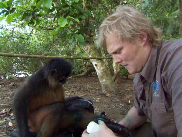 Luke Gamble's Vet Adventures - Costa Rica