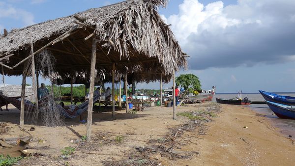 Zu den Quellen des Essequibo - Im Delta