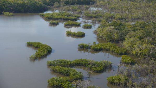 Zu den Quellen des Essequibo - Am Kaieteur