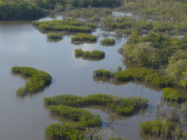 Zu den Quellen des Essequibo - Am Kaieteur