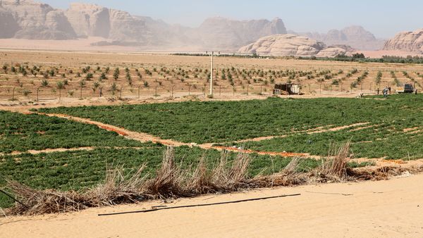 Die Farben der Wüsten - Das rosa Wadi Rum