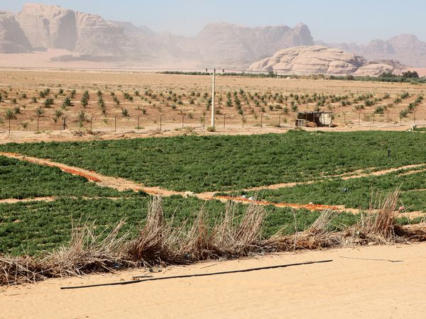 Die Farben der Wüsten - Das rosa Wadi Rum