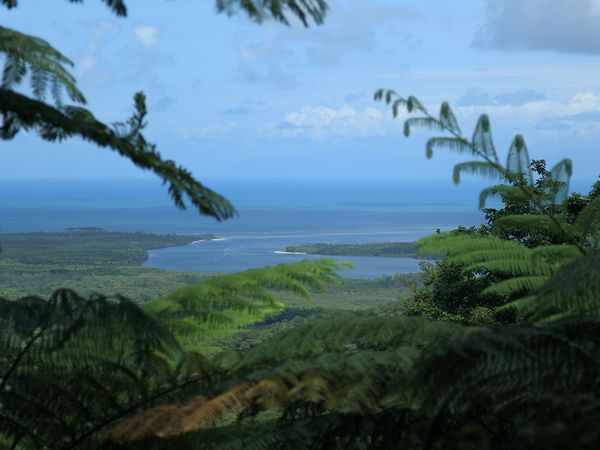 Australiens Nationalparks - Der Regenwald