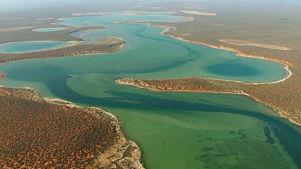 Australiens Nationalparks - Die Küste der Walhaie