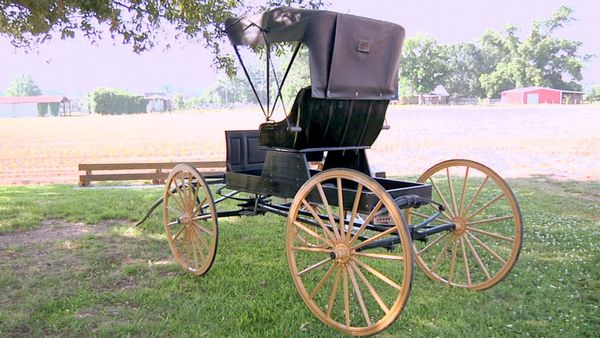 Cajun Pawn Stars - 4-Wheelin' Deals