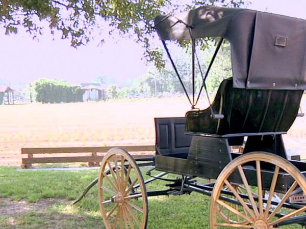 Cajun Pawn Stars - 4-Wheelin' Deals