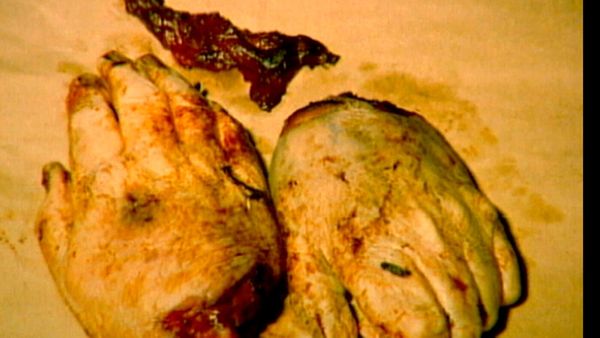 Forensic Files - Hand Delivered