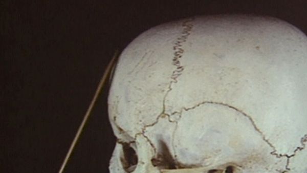 Forensic Files - Knot for Everyone