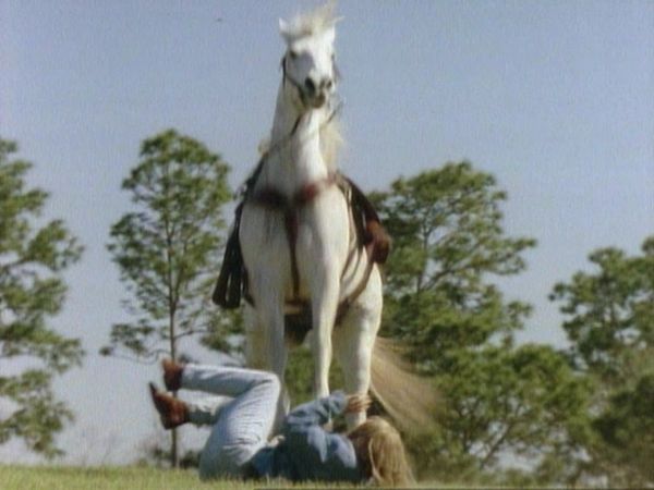 Unsolved Mysteries with Robert Stack - Episode: 19