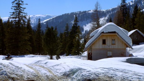 Im Bann der Jahreszeiten - Winterhärte