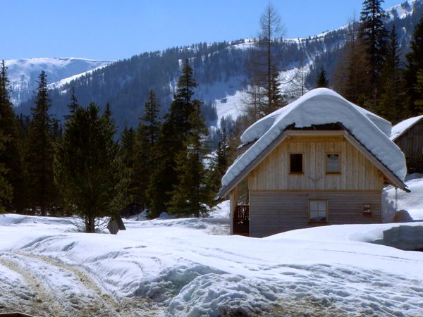 Im Bann der Jahreszeiten - Winterhärte