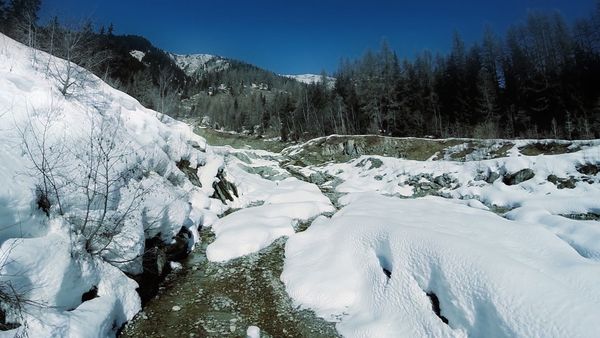 Im Bann der Jahreszeiten - Erster Schnee