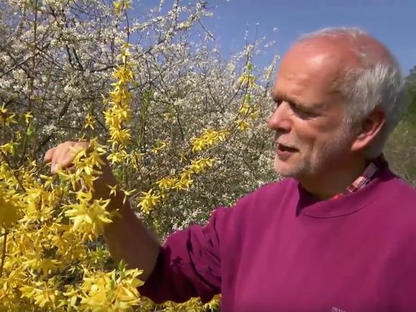 Im Bann der Jahreszeiten - Frühlingserwachen