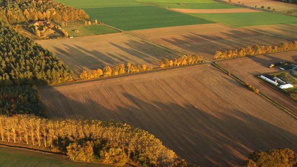 Im Bann der Jahreszeiten - Goldener Oktober