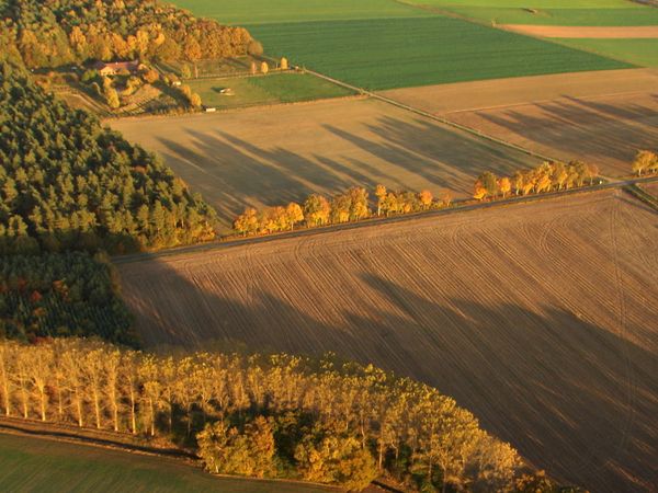 Im Bann der Jahreszeiten - Goldener Oktober