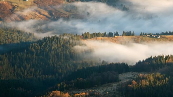 Im Bann der Jahreszeiten - Novembernebel