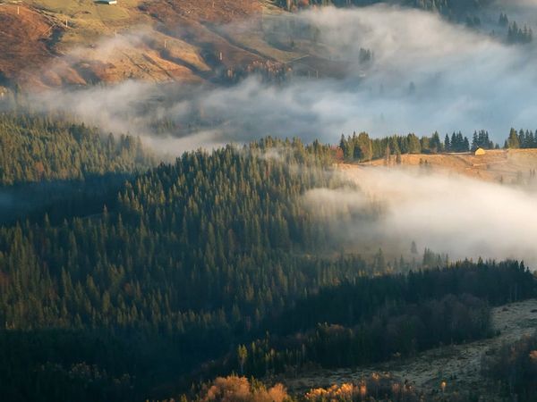 Im Bann der Jahreszeiten - Novembernebel