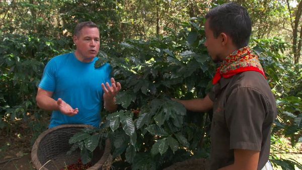 Ocean Treks With Jeff Corwin - Costa Rica: Rainforest Retreat