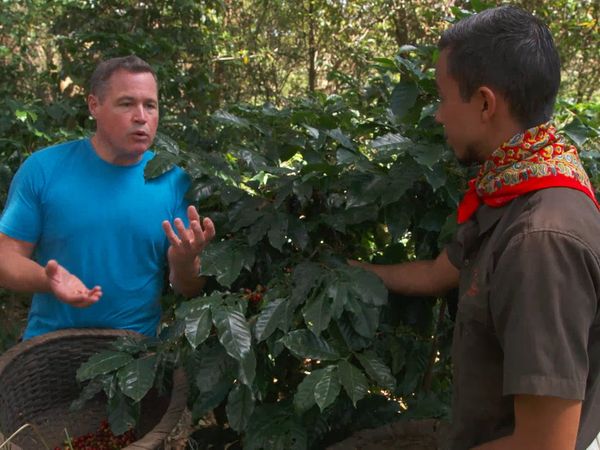 Ocean Treks With Jeff Corwin - Costa Rica: Rainforest Retreat