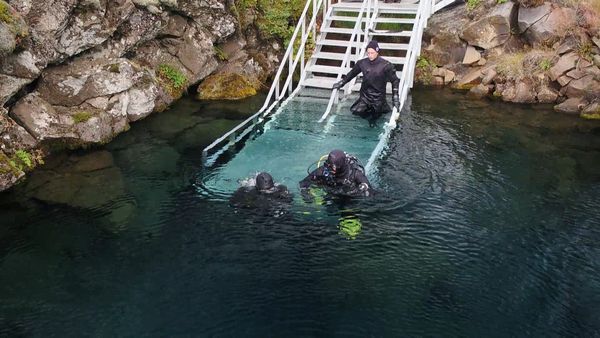 Ocean Treks With Jeff Corwin - Best of: Aquatic Adventures