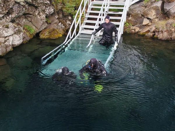 Ocean Treks With Jeff Corwin - Best of: Aquatic Adventures