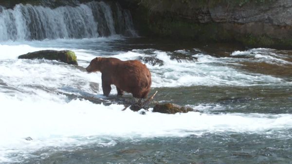 Ocean Treks With Jeff Corwin - Akureyri: Waterfalls and Whales