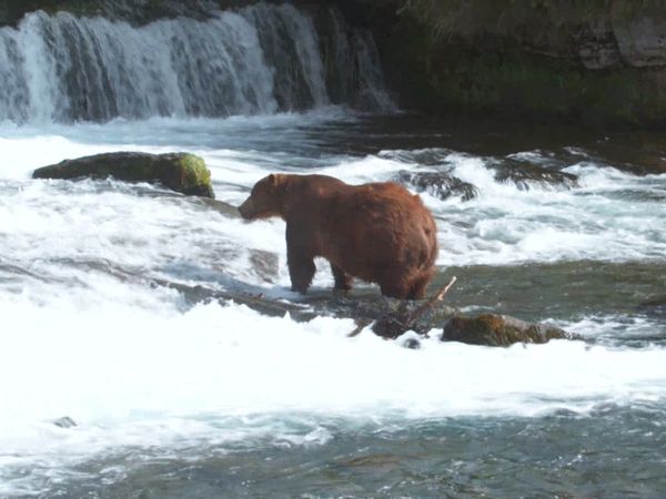 Ocean Treks With Jeff Corwin - Akureyri: Waterfalls and Whales