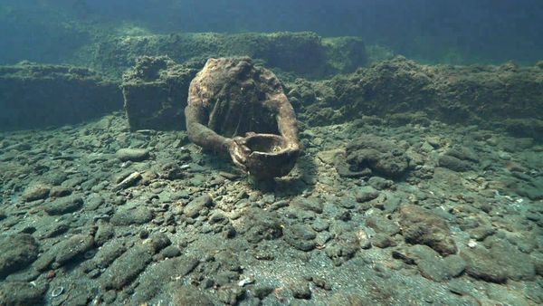 Ocean Treks With Jeff Corwin - Best of: Spectacular Species