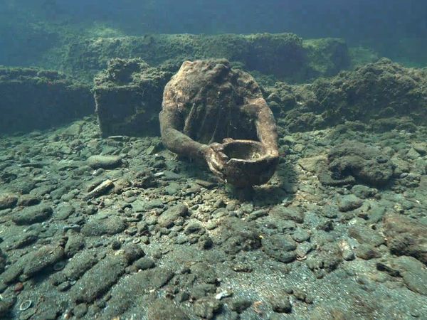 Ocean Treks With Jeff Corwin - Best of: Spectacular Species