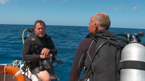 Ocean Treks With Jeff Corwin - Osaka: Tea Time