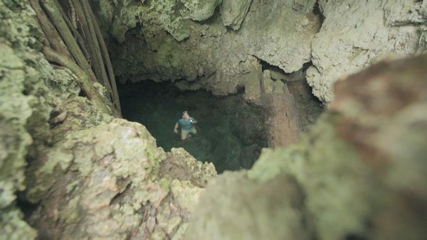 Ocean Treks With Jeff Corwin - Best of Caribbean