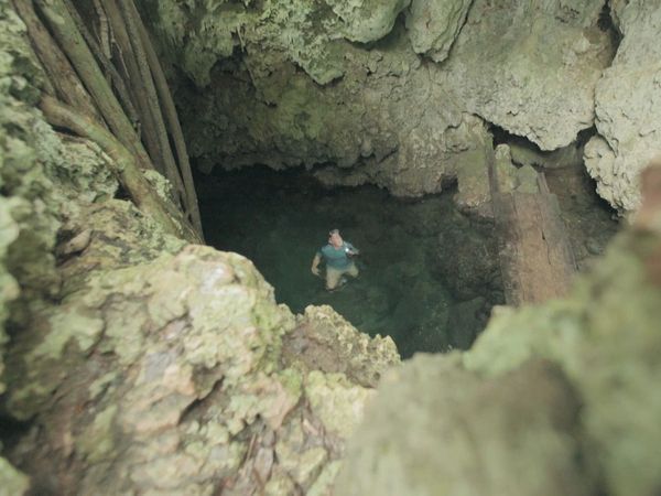 Ocean Treks With Jeff Corwin - Best of Caribbean