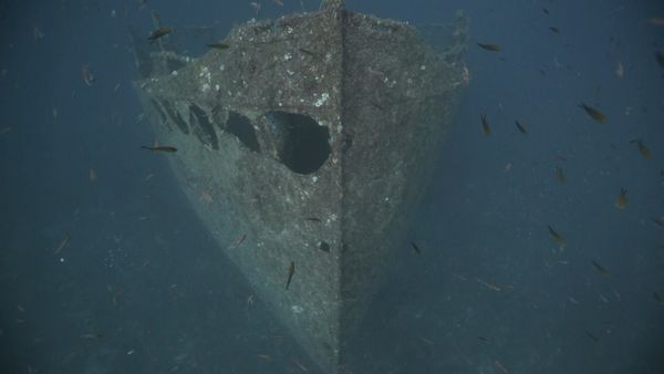 Ocean Treks With Jeff Corwin - Croatia: Ancient Treasures