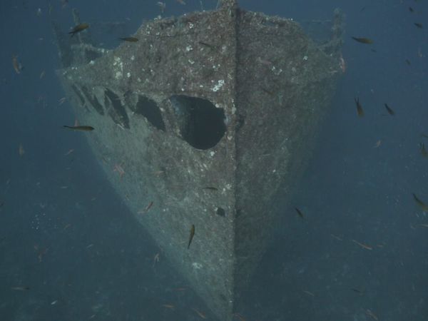 Ocean Treks With Jeff Corwin - Croatia: Ancient Treasures