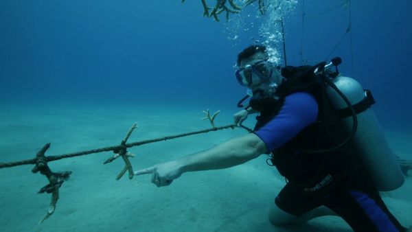 Ocean Treks With Jeff Corwin - Dominican Republic: Travel with Purpose